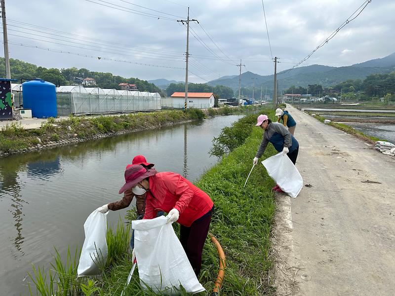 양도면_자유총연맹,_건평리_하천_일대_환경정화_(1)