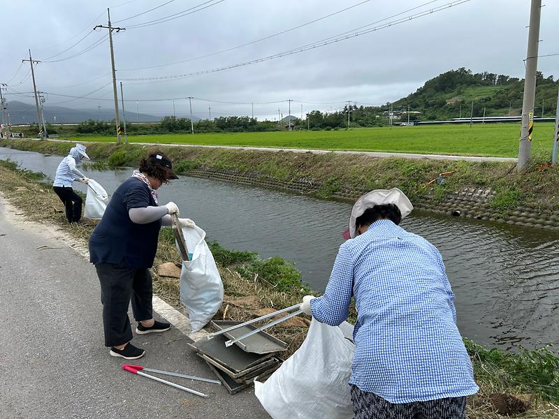 양도면_자유총연맹_환경정화_(2)