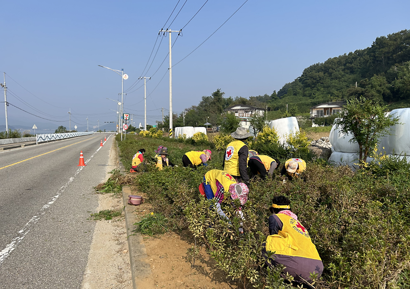 양도면_적십자_부녀회_가로화단_정비작업