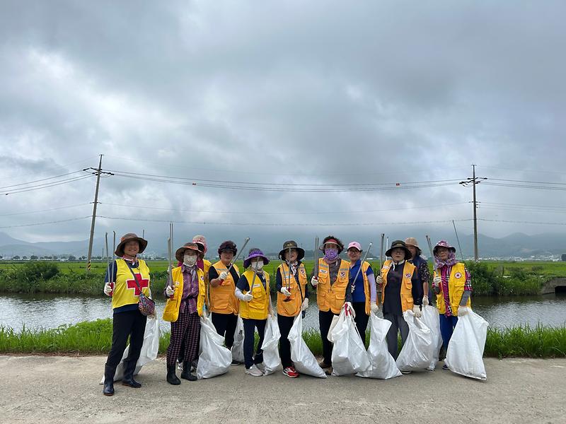 양도면_적십자부녀봉사회_환경정화_(2)