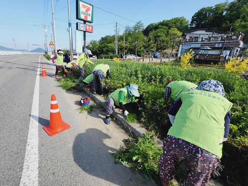 양도면_지역사회보장협의체,_건평리_가로화단_제초_작업
