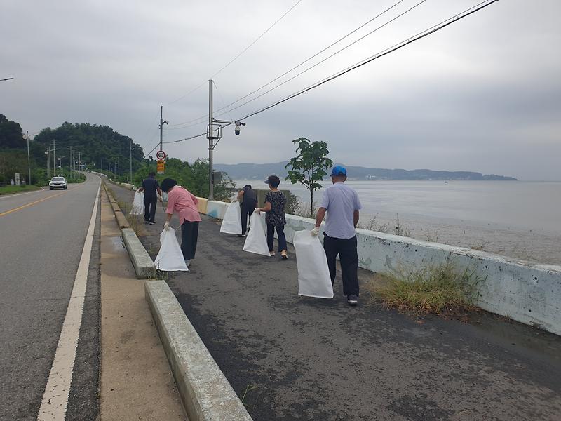 양도면_노인회_건평리_환경정화활동