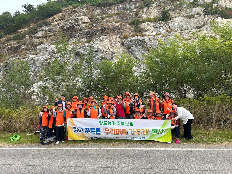 양도면_농가주부모임_가로화단_정비작업_실시