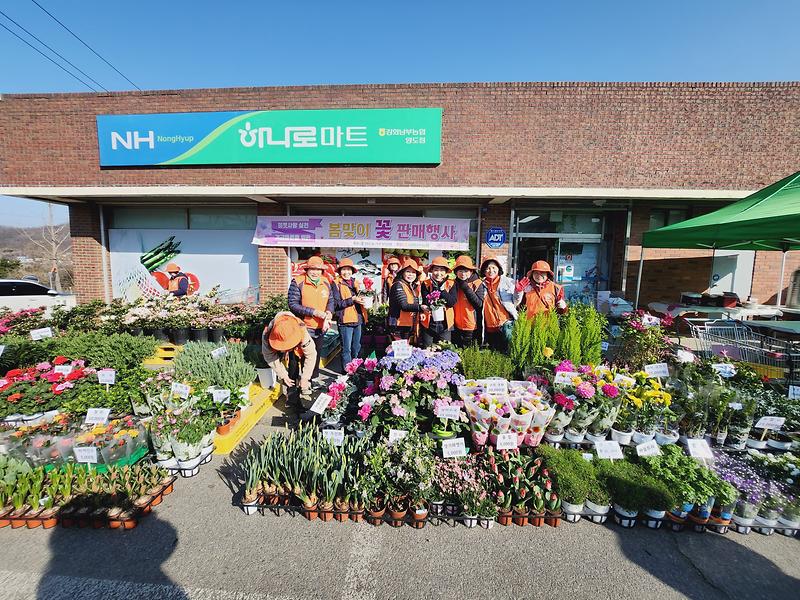 양도면_농가주부모임,_꽃으로‘이웃사랑’꽃피다_(1)