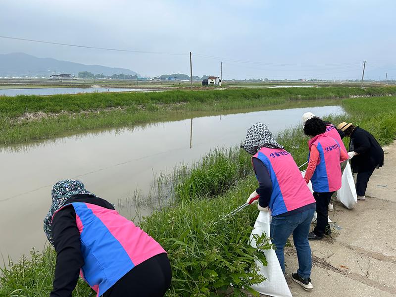 양도면_생활개선회,_능내천_일대_환경정화_(2)