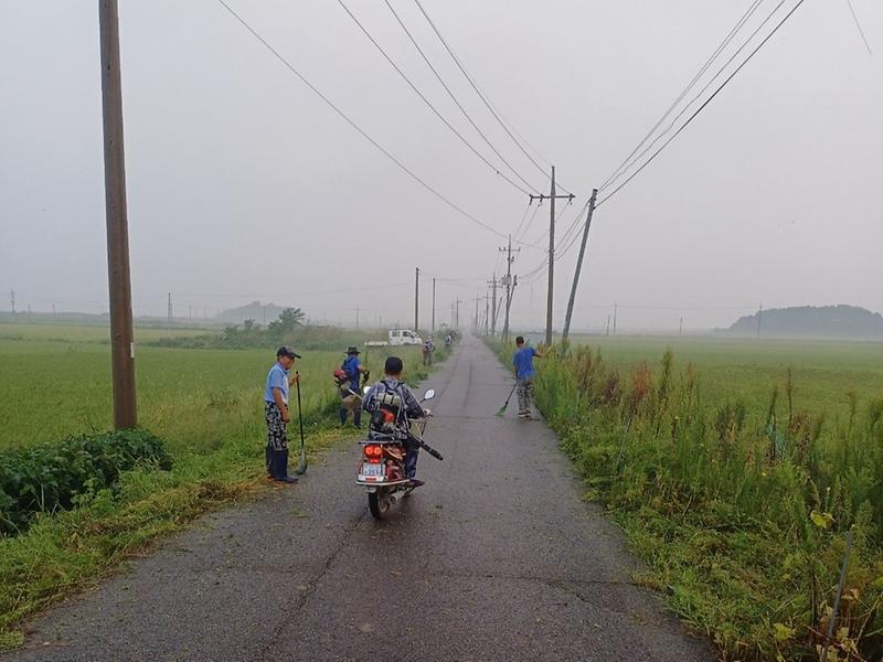 양사면_북성1리_제초작업