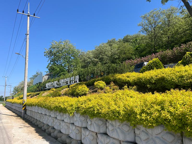 양사면,_재활용_선별장을_봄꽃_가득한_쉼터로!_(1)