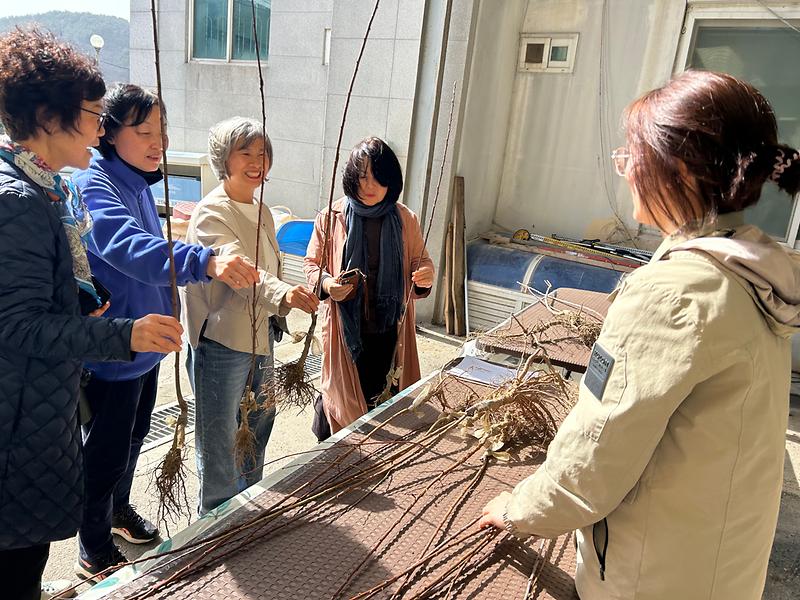 양사면,_내_나무_갖기_캠페인_진행_(1)