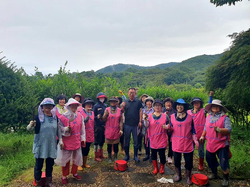 양사면_생활개선회_상덕현공원정비