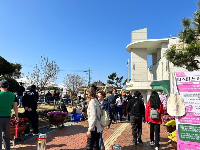 양사면,_양사평화파머스마켓_축제_성료_2