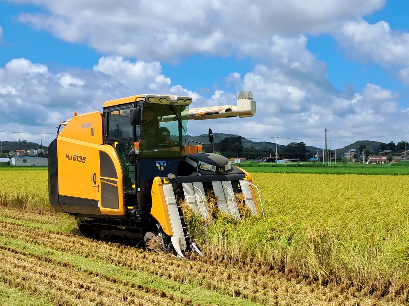 강화군,_“고품질_강화섬쌀_위해_적기_수확_․_적온_건조_철저히”