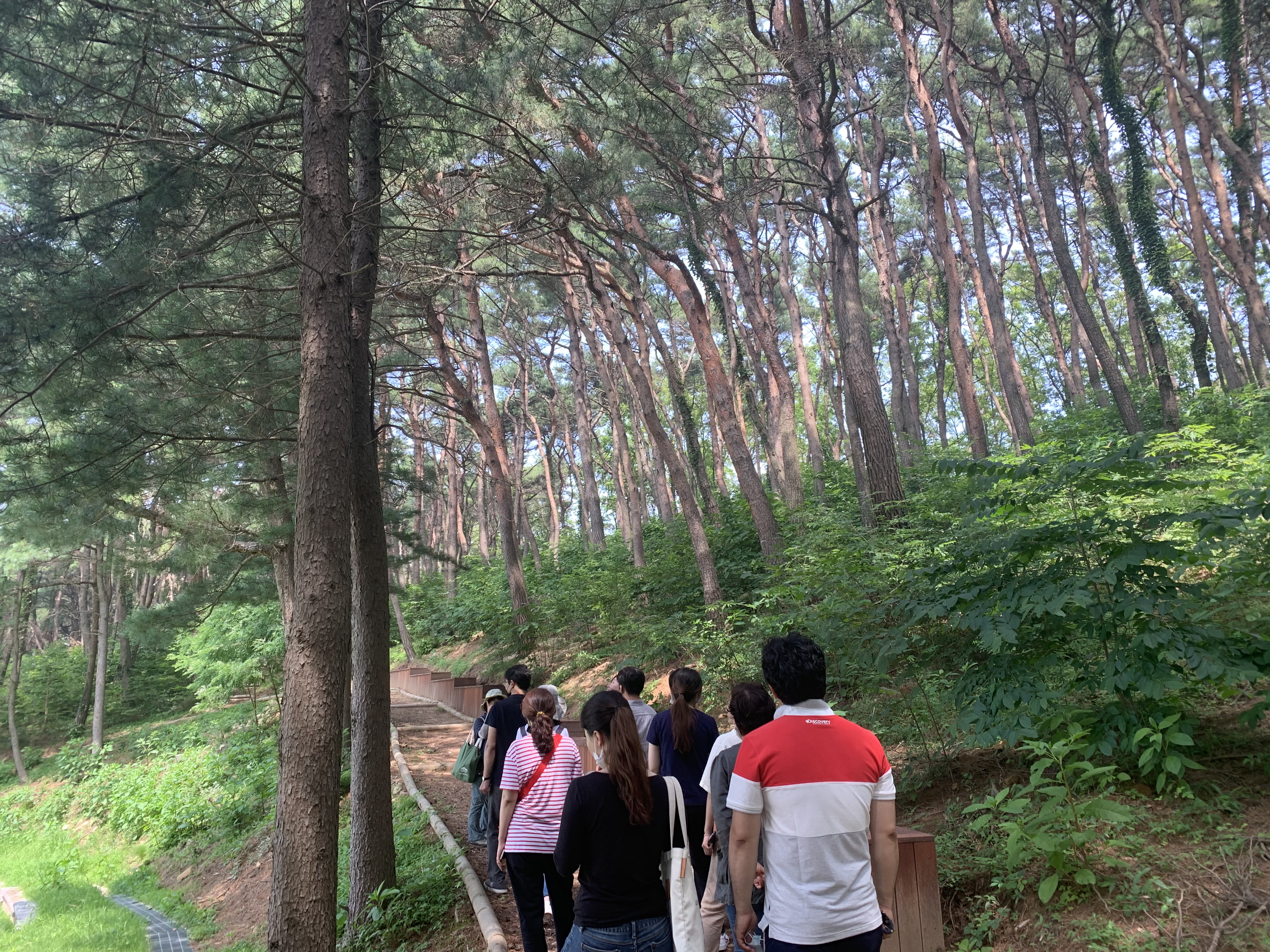 강화군,_청정_이미지_회복_여름철_관광_마케팅_본격화(3_마니산_치유의_숲)