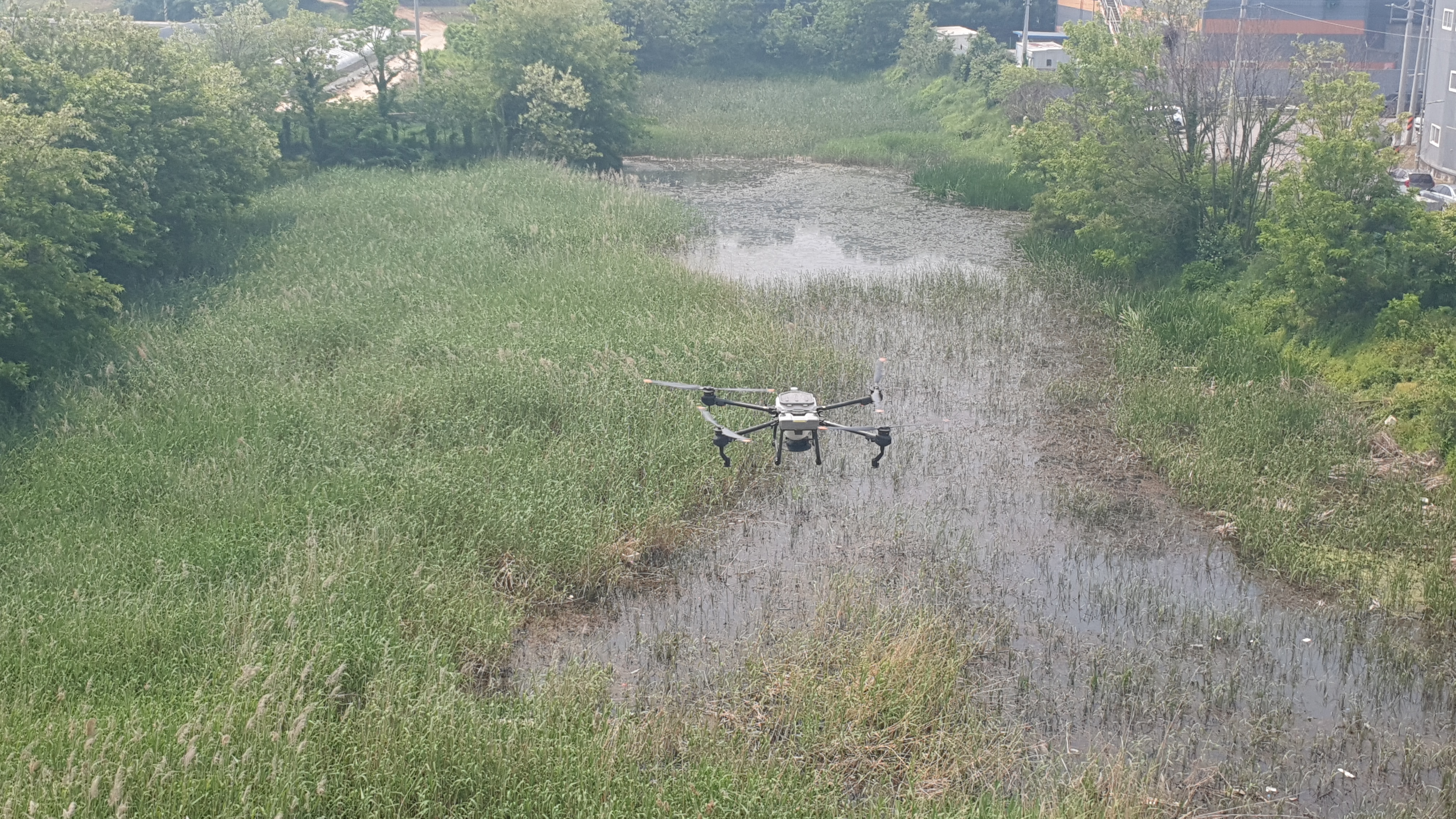 강화군,_드론으로_말라리아_방역_사각지대_해소_나서(2_드론_방역_모습)