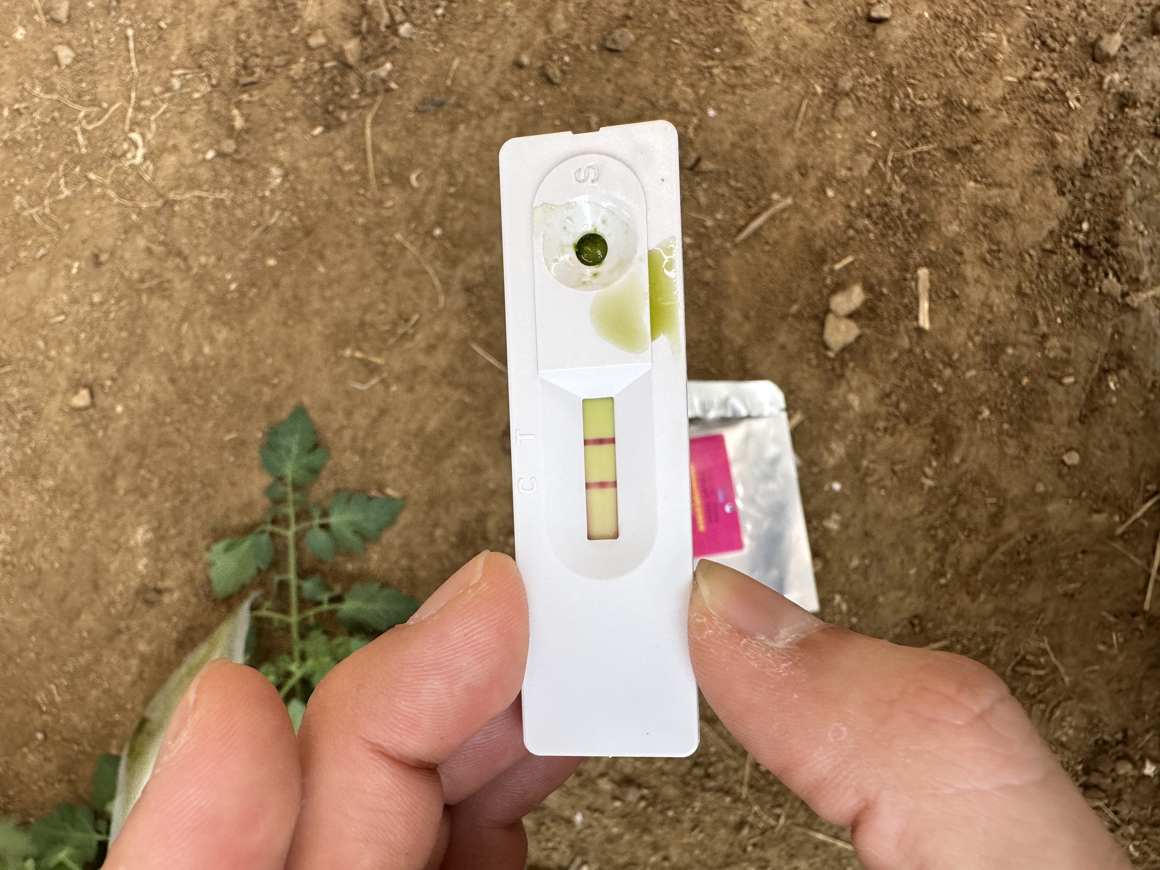 강화군,_여름철_병해충_확산_막는다…_현장_진단키트로_농가_지원(1)