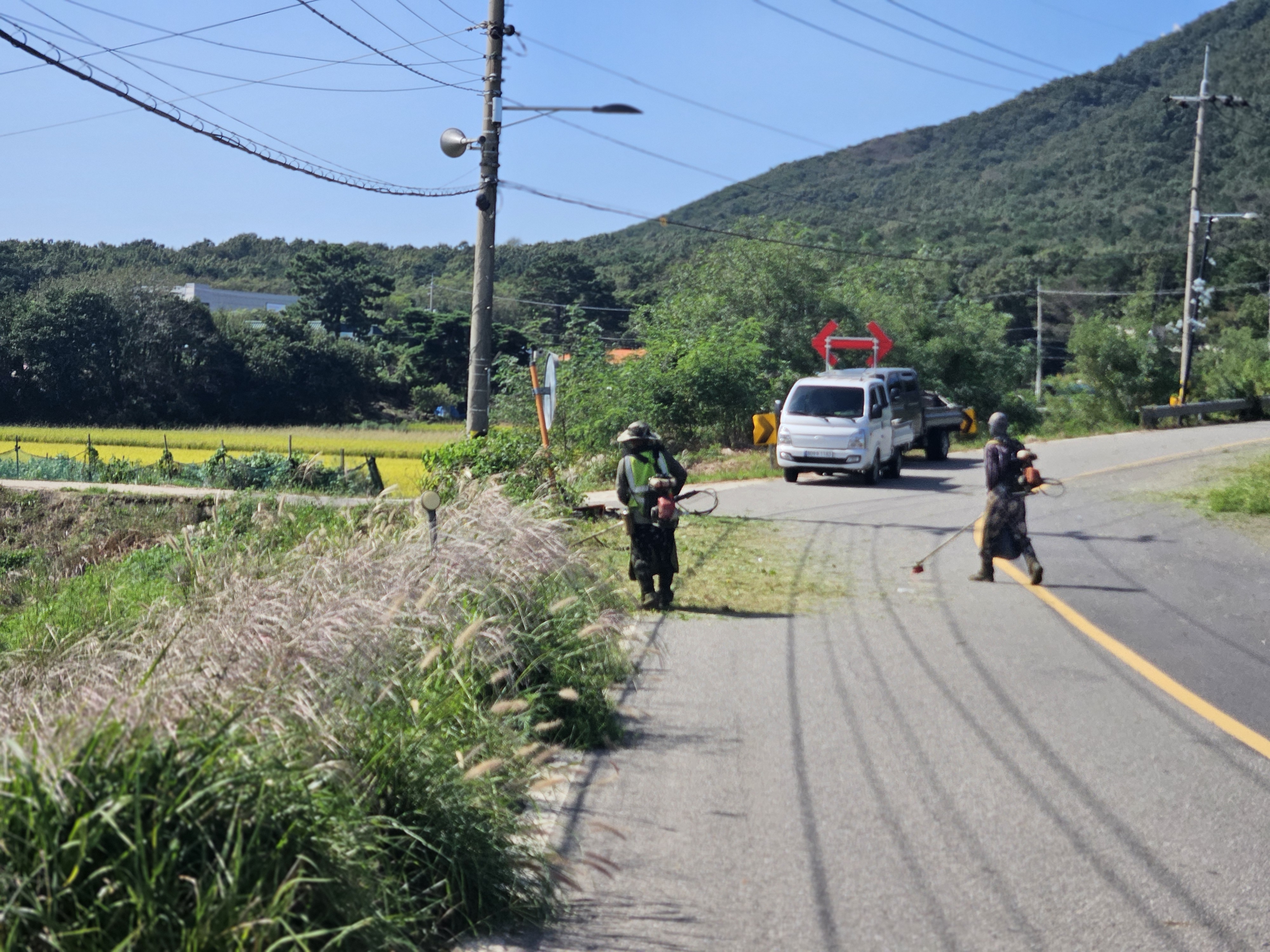 교동면,_추석맞이_도로변_제초_작업_실시…_안전하고_쾌적한_귀성길_조성