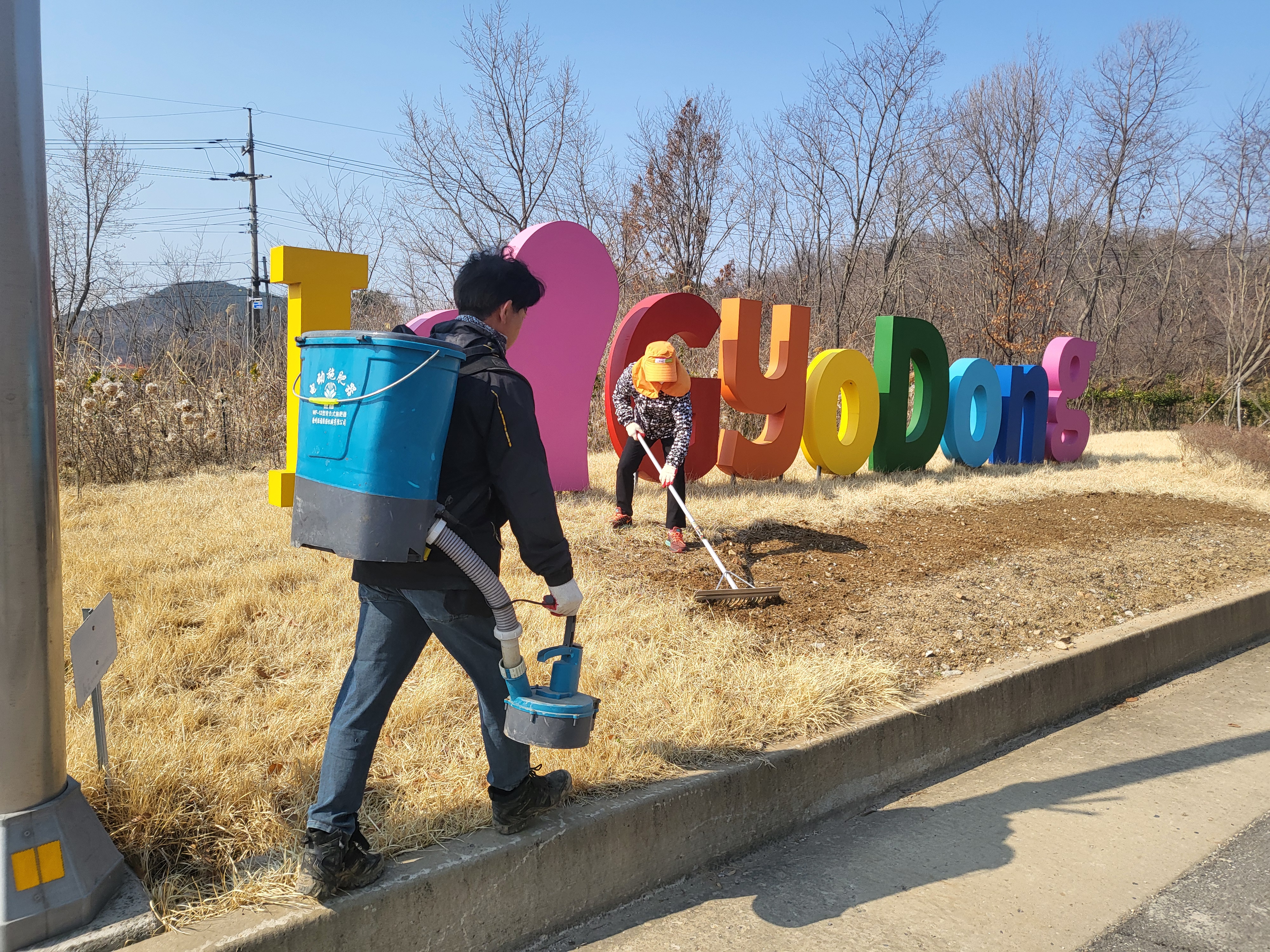 교동면_주민자치_위원회,_교동대교~삼선리_주요_도로변_환경정비_및_꽃길_조성