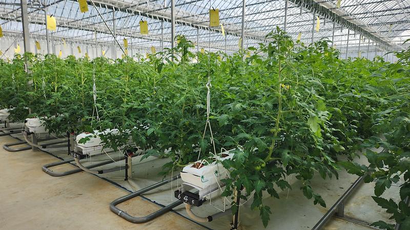 2025년_기술보급사업_(4)