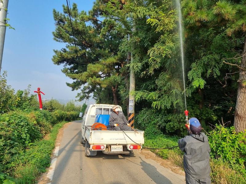불은면,_돌발_해충_집중_방제_“작전_개시!”