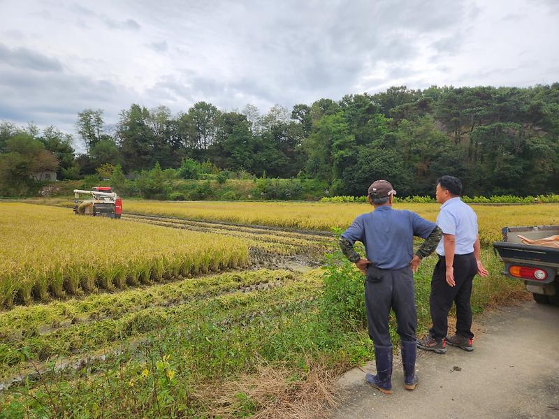 불은면,_가을장마_농작물_피해_현장_긴급_점검