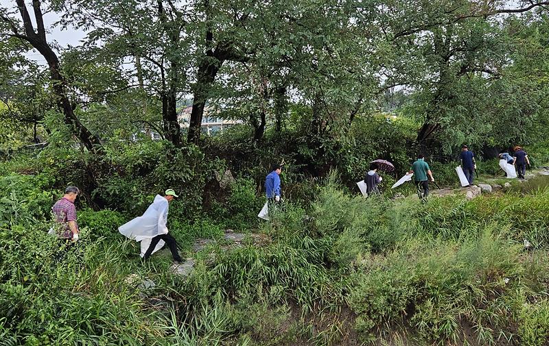 불은면_이장단,_가을맞이_릴레이_환경정화_실시