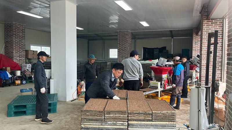 불은면_주민자치_위원회,_모내기_준비에_구슬땀_(2)