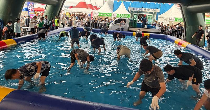 강화도_새우젓축제(3_왕새우잡기)