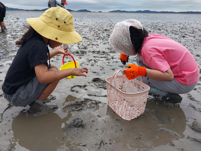 강화군,_취약계층_아동_대상_‘갯벌_탐험대’_프로그램_성료
