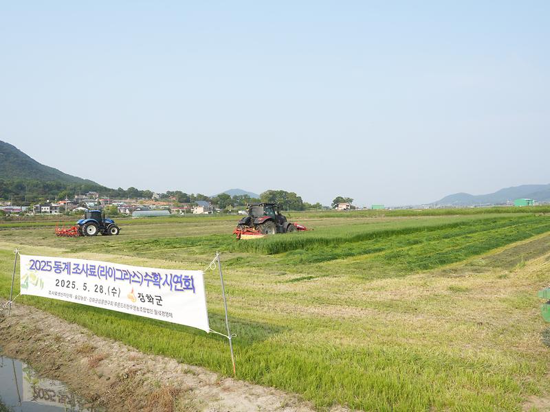 강화군,_축산농가_경영_돕는_조사료_수확_시연회_개최(1)