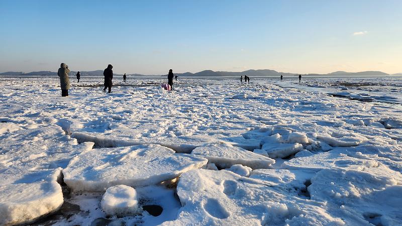 강화군_동막해변_유빙으로_이색명소_인기(2)