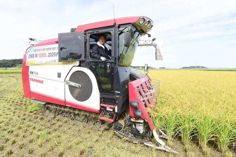 강화군,_강들미_추수현장(2)