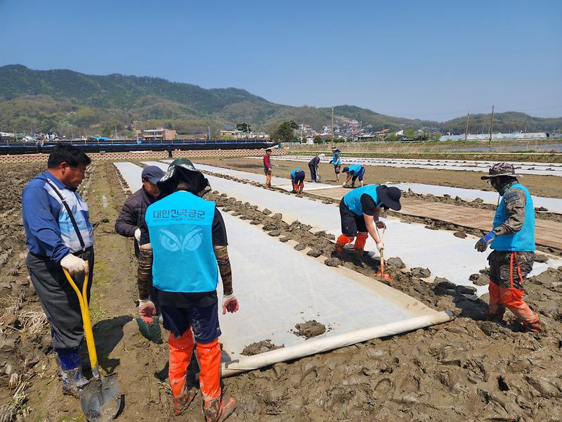 강화군,_공군_제8681부대_농촌_일손_돕기에_구슬땀(1)