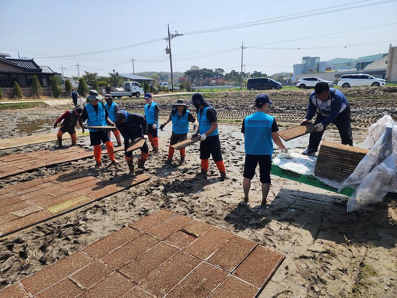 강화군,_공군_제8681부대_농촌_일손_돕기에_구슬땀(2)