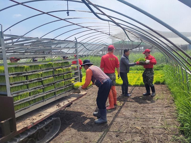 강화군,_해병대와_손잡고_3970명_장병_농촌_지원