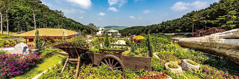 강화군_화개정원,_석모도수목원,_전국_스탬프투어_참여(1_화개정원)