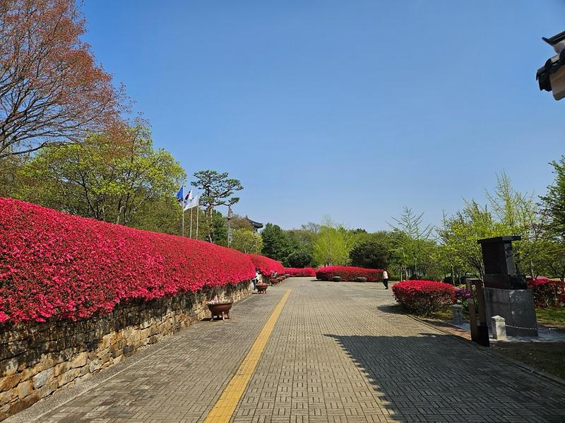 강화군, 제1탄 강화나들길 발밤발밤 걸어요! 챌린지 개최 사진