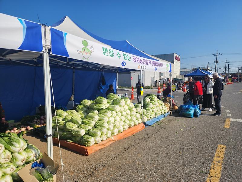 강화군,_지역_농가와_함께하는_김장시장_운영…_이달_28일까지_판매자_모집(1)