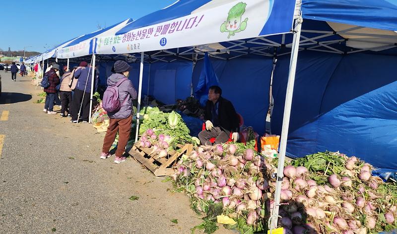 강화군,_지역_농가와_함께하는_김장시장_운영…_이달_28일까지_판매자_모집(2)