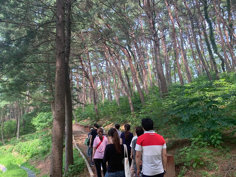 강화군,_마니산_치유의_숲_웰니스_프로그램_운영(1)