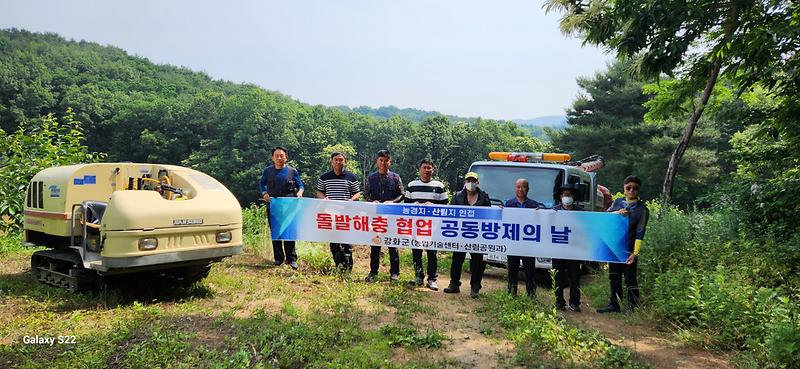 강화군,_농작물_피해주는_돌발해충_집중_방제_나서