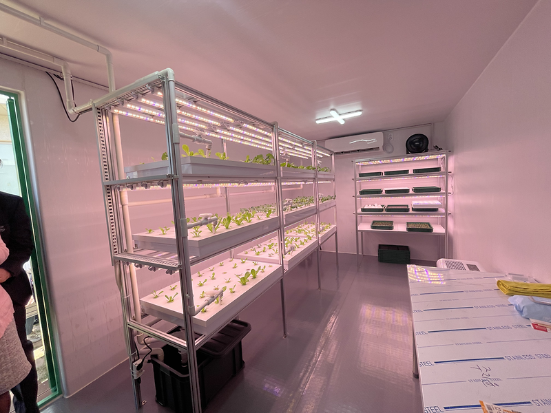 강화군장애인복지관,_장애인_직업훈련_위한_스마트팜_조성(2)