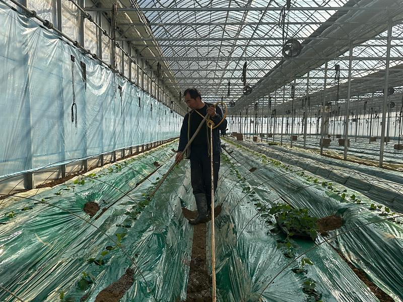 강화섬오이_새해_첫_정식_(1)