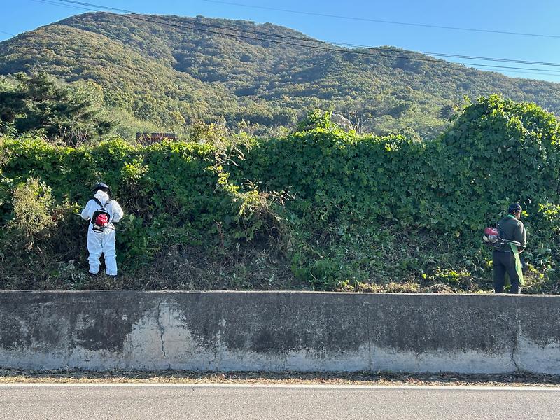 길상면_새마을지도자회,_생태계_교란생물_퇴치에_앞장