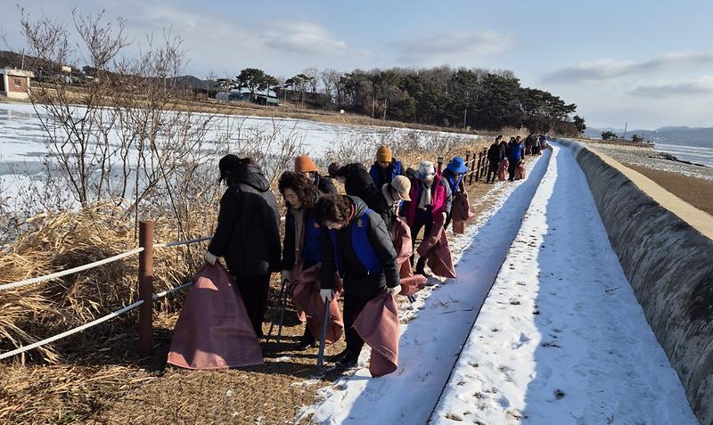 교동면_바르게살기위원회_환경정화(2)