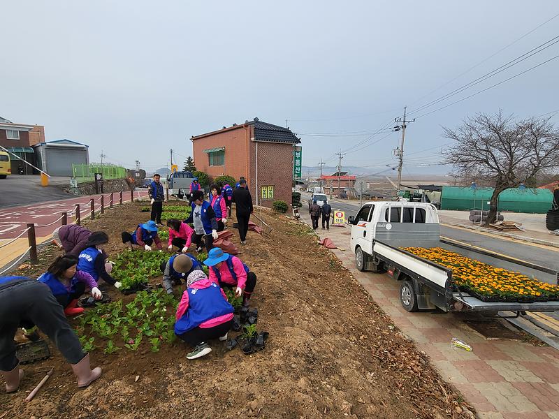 교동면_바르게살기위원회,_꽃동산_꾸미기로_봄소식_전해