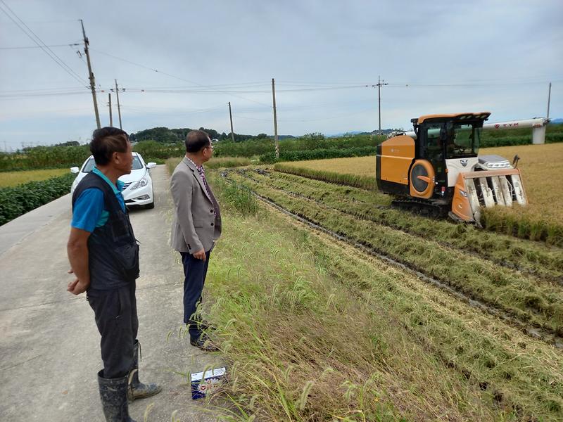 교동면,_벼_베기_영농현장_방문_농민_격려