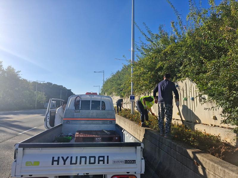 교동면,_교동의_관문_교동대교_시작으로_꽃밭_조성