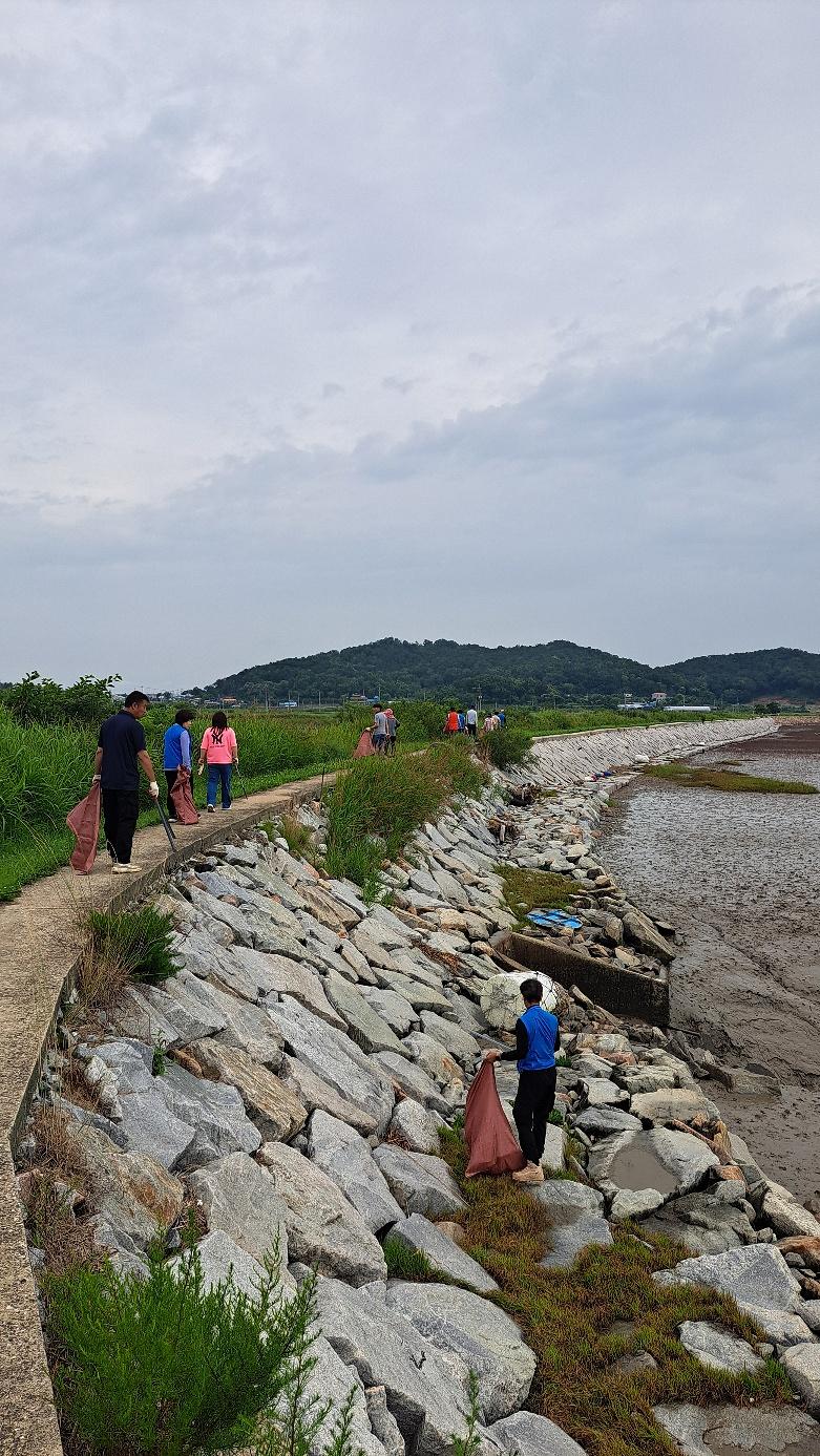 교동면_주민자치위원회,_해안가_및_나들길_주변_환경_정화_활동