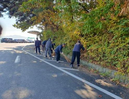 교동면_노인회,_해안가_및_나들길_환경정화에_힘_쏟아