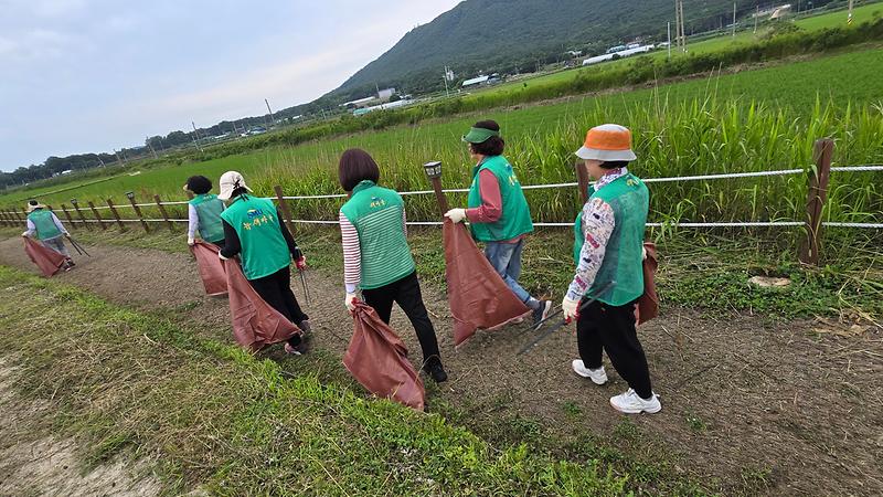 교동면_새마을부녀회,_해안가_및_나들길_환경정화에_앞장