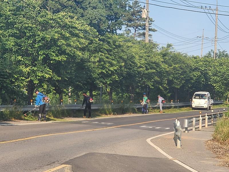 교동면_새마을지도자협의회,_제초_작업_통한_도로_미관_정비